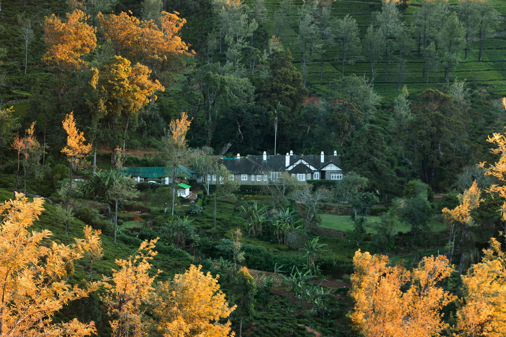 Scottish Planter Bungalow- Thema Collection Nuwara Eliya Dış mekan fotoğraf