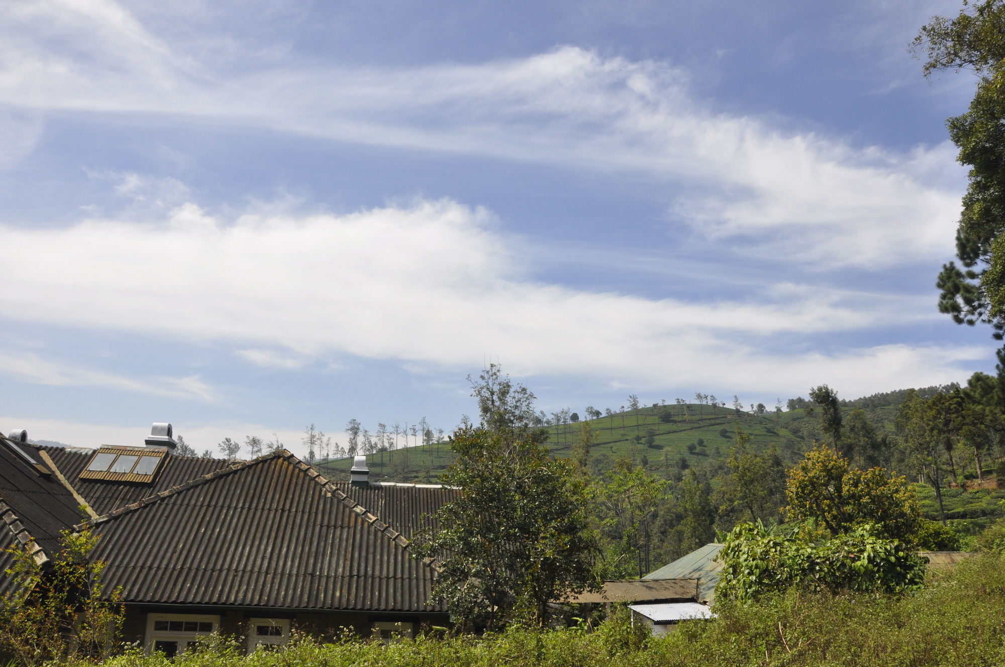 Scottish Planter Bungalow- Thema Collection Nuwara Eliya Dış mekan fotoğraf